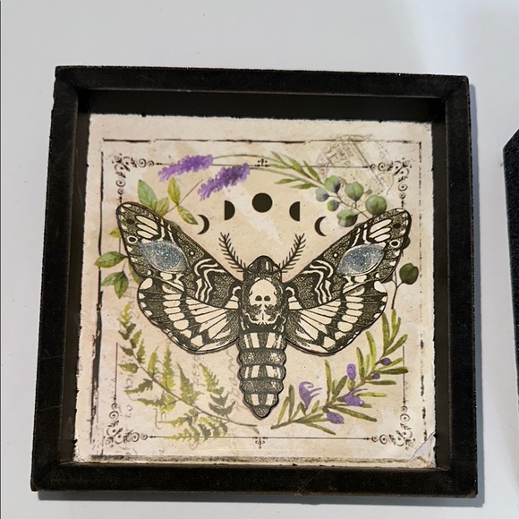 Spirit Framed Insect Art Prints - Picture 5 of 7